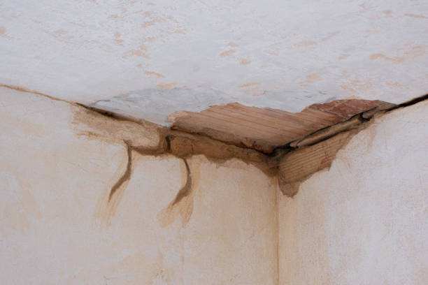  Chickamau, GA Water damage restoration Pros