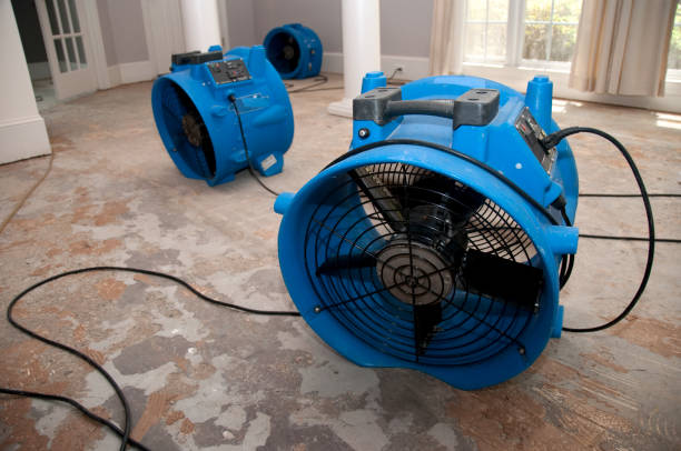Best Fire Damage Restoration  in Chickamau, GA