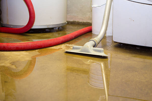 Best Water damage contractors near me  in Chickamau, GA