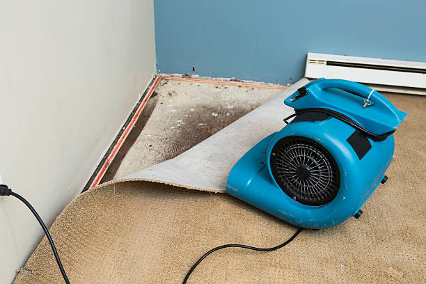 Best Water damage cleanup near me  in Chickamau, GA